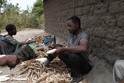 DSC_3164 (Large).JPG